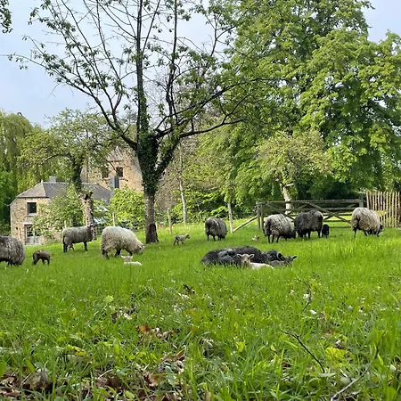 別荘 Grand Jardin Nature Ardenne Luxembourg ナソーニュ